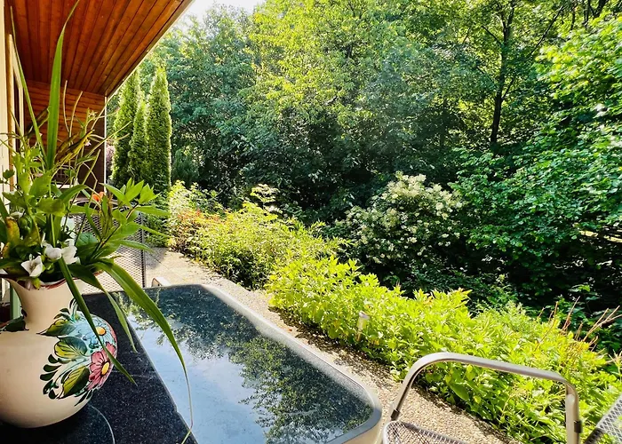 Vor lauter Bäumen B&B