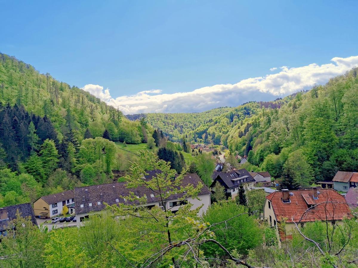 Vor Lauter Bäumen Gasthof Zorge